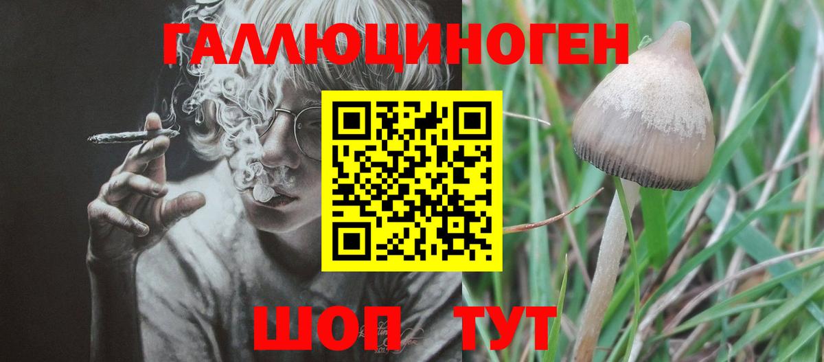 Псилоцибиновые грибы ЛСД  Вход с VPN  Ачхой-Мартан 